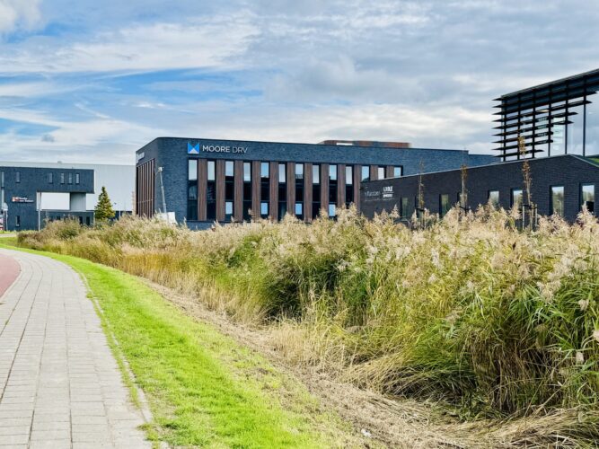 Moore DRV in Middelburg